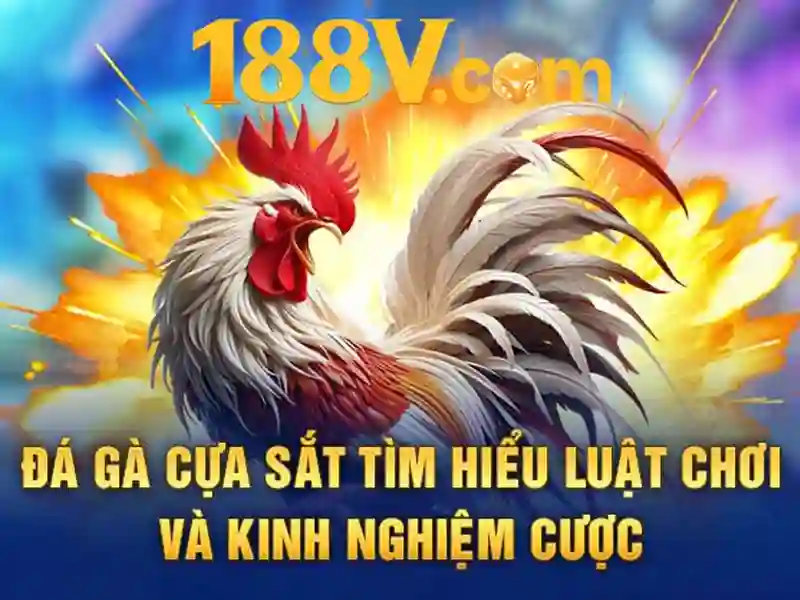 https://youtubevanced.id/images/text/188v/188v-text886.webp Ứng dụng và thách thức