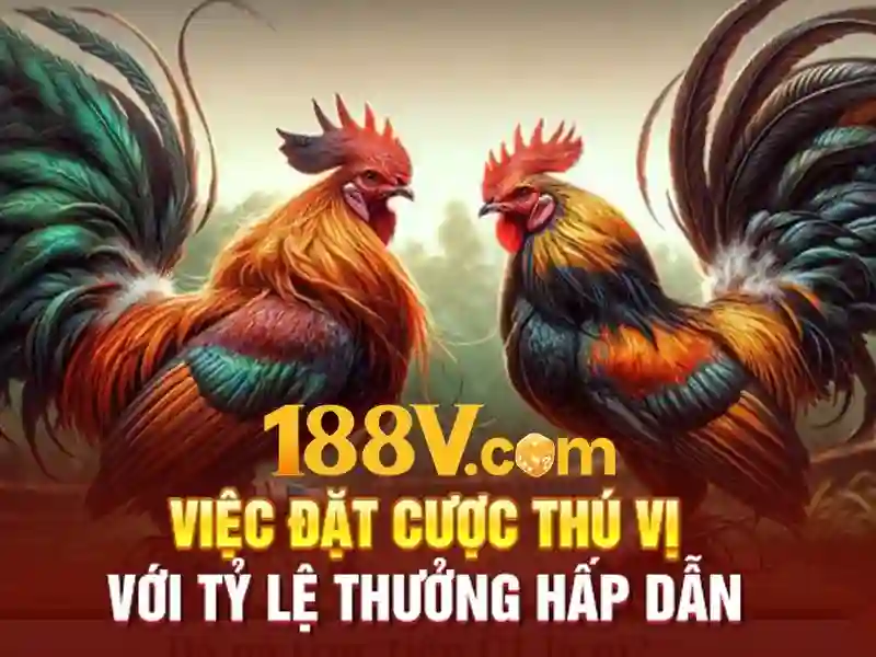 188v: một khái niệm công nghệ về điện áp và hiệu suất Giao diện nhà cái hoàn hảo