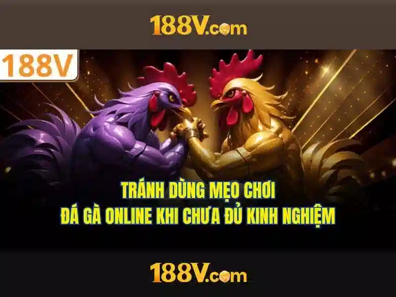 Khái niệm 188V: hành trình khám phá