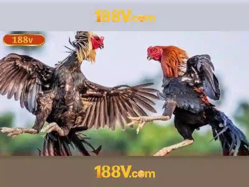 slot 188v – tổng quan chủ đề và giá trị cốt lõi