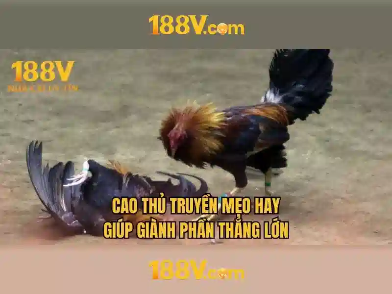 https://youtubevanced.id/images/text/188v/188v-text2603121072.webp Ứng dụng và triển vọng
