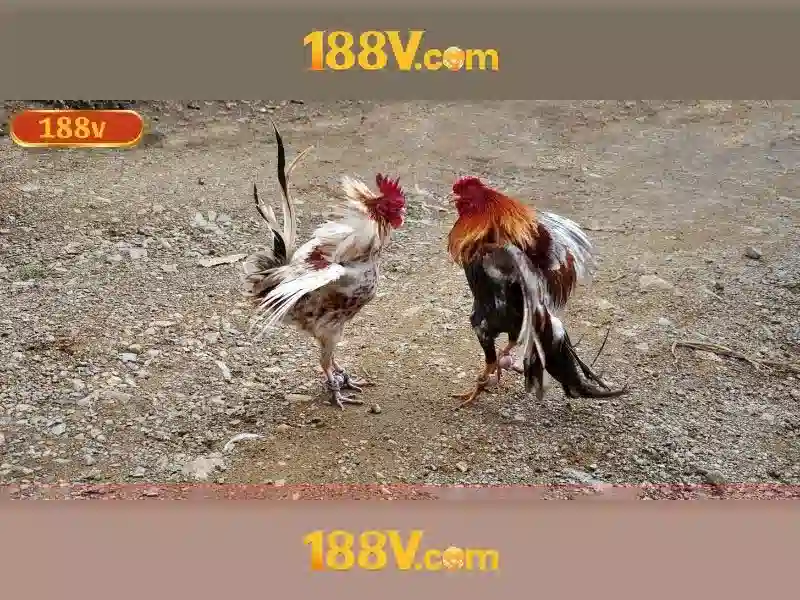 Khám phá 188V: điện áp giả tưởng và công nghệ tương lai Giao diện nhà cái hoàn hảo