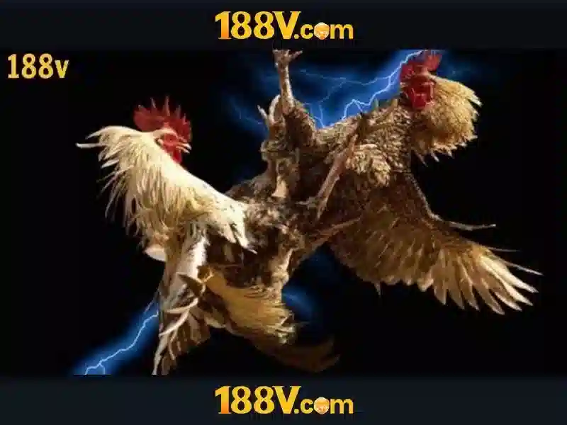 https://youtubevanced.id/images/text/188v/188v-text260330664.webp Khái niệm về 188V