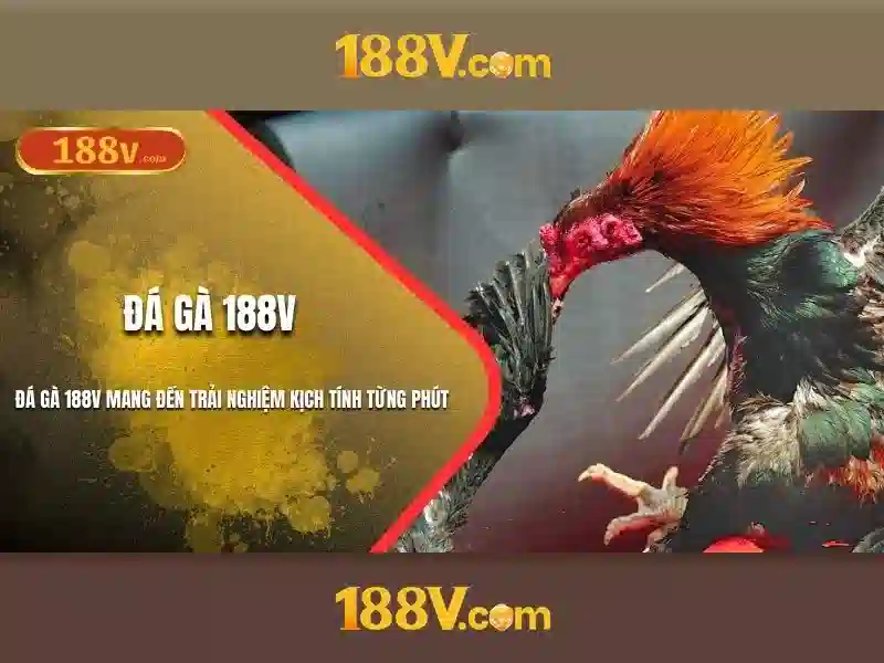 188v: một khái niệm và hành trình sáng tạo Giao diện nhà cái hoàn hảo