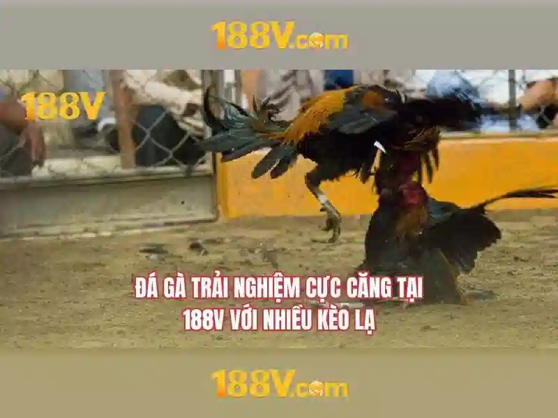 Xuất phát từ ý tưởng 188V và vai trò của điện áp trong đời sống hiện đại