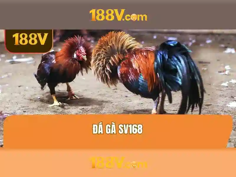 188v: Hành trình giữa số liệu và nghệ thuật