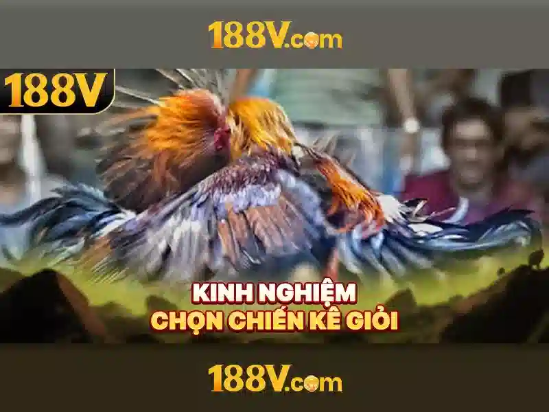 188V: Giải thích và ứng dụng của điện áp 188V trong hệ thống hiện đại