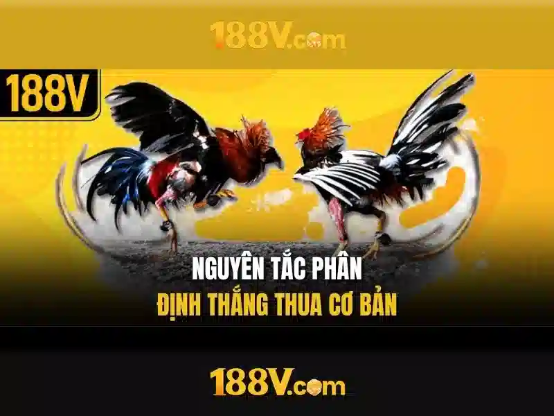 https://youtubevanced.id/images/text/188v/188v-text260330422.webp Ý nghĩa của 188v