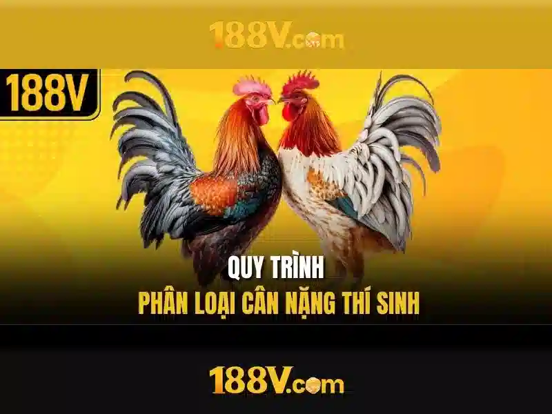 slot 188v – trải nghiệm đỉnh cao với 188v com tại app