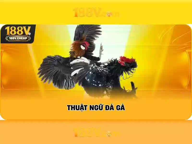 188V: Hành trình khám phá một thế giới số mới Giao diện nhà cái hoàn hảo