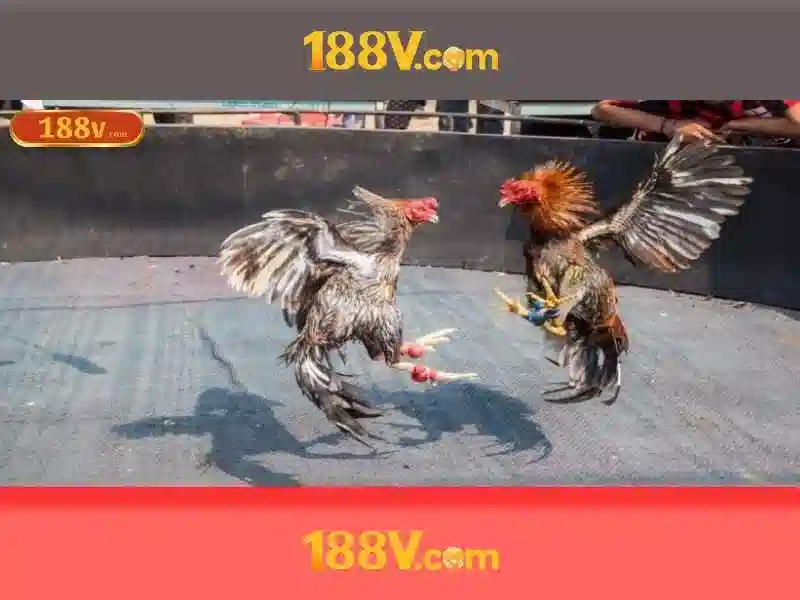 https://youtubevanced.id/images/text/188v/188v-text260331564.webp An toàn và biện pháp bảo hộ với 188V