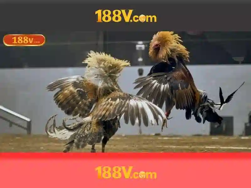 Khám phá 188V và ý nghĩa của điện áp này Giao diện nhà cái hoàn hảo