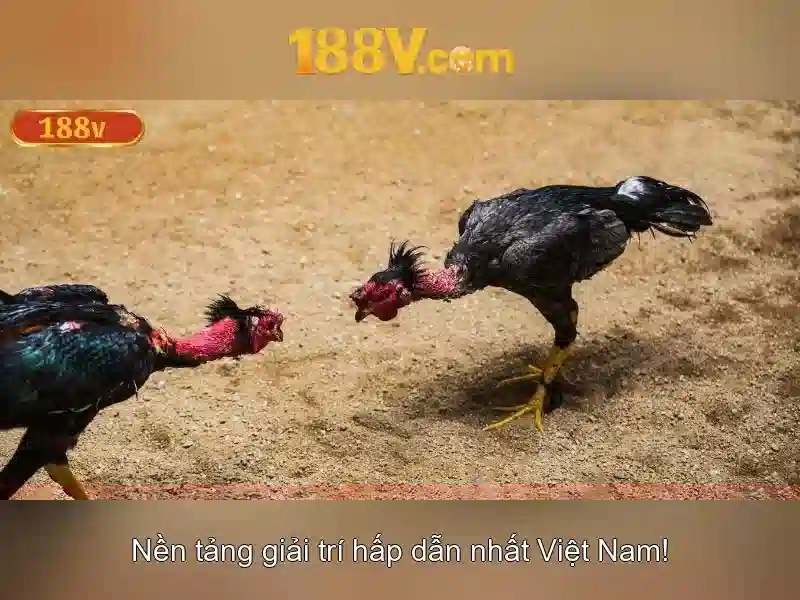 188v và những câu chuyện của nó