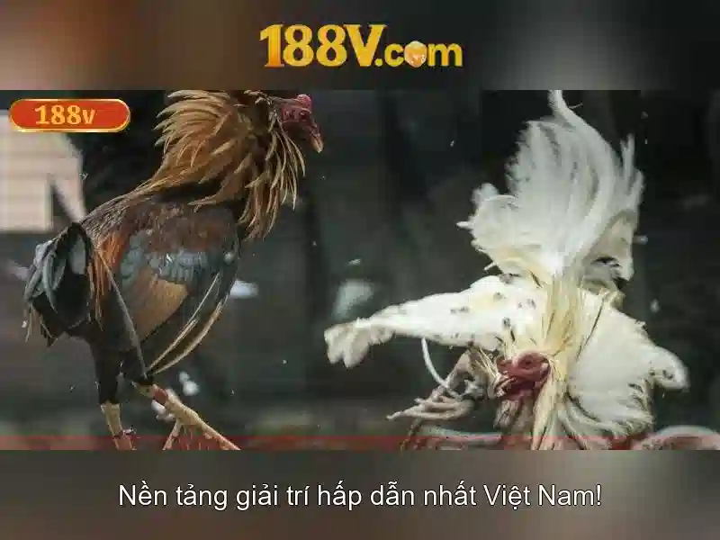 188v và nguồn gốc