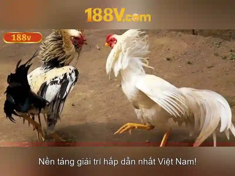Giao diện nhà cái hoàn hảo