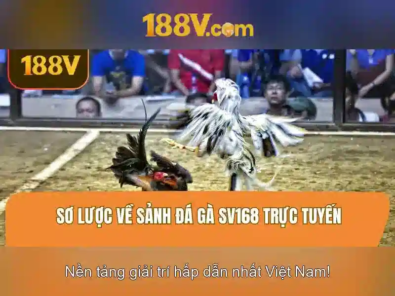 Tổng quan và giá trị cốt lõi