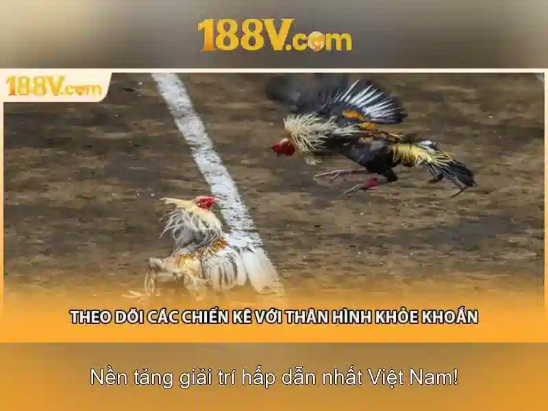 188v: một khái niệm hư cấu trong khoa học giả tưởng Giao diện nhà cái hoàn hảo