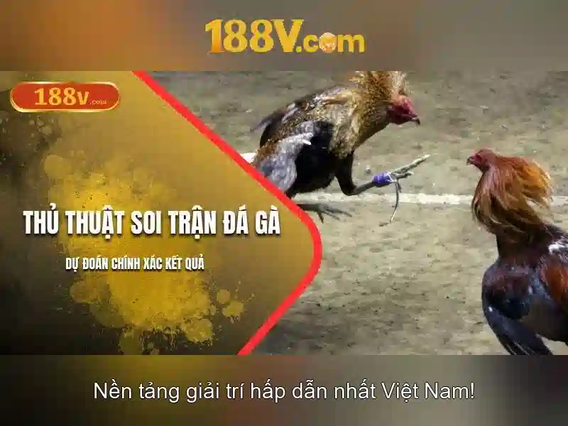 An toàn khi làm việc với 188V