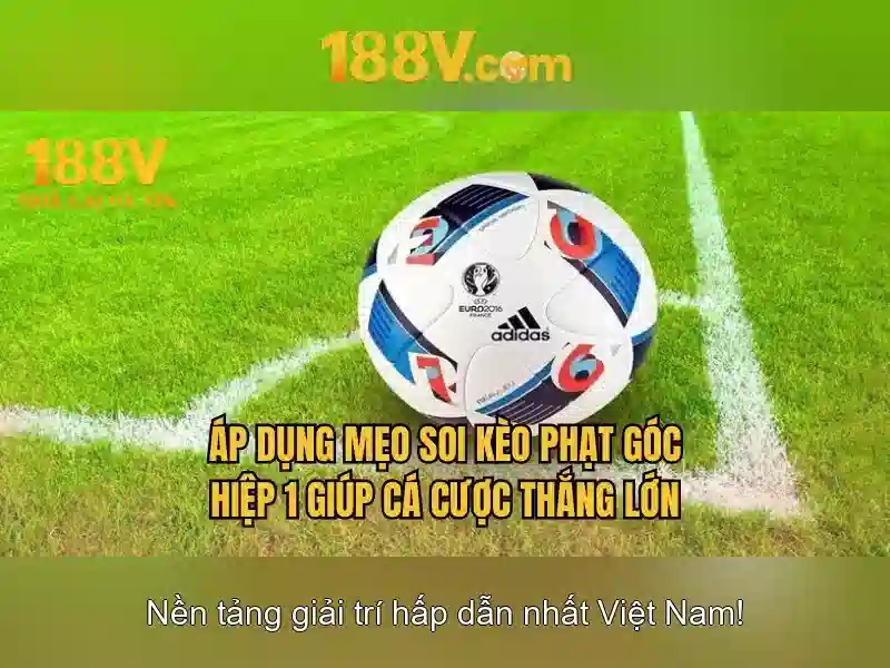 https://youtubevanced.id/images/text/188v/188v-text2603311033.webp Ứng dụng và ảnh hưởng