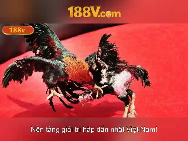 Tổng quan về 188v com vn