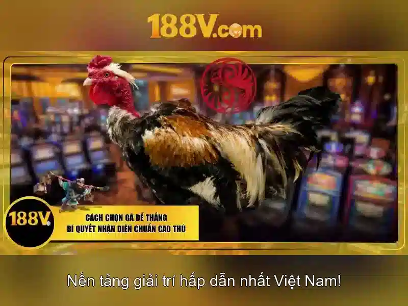 188V: một hiện tượng số trong thế giới dữ liệu