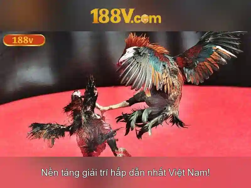 Nguồn gốc và sứ mệnh