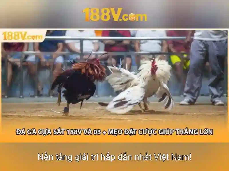 188v: Khám phá một khái niệm công nghệ và sáng tạo Giao diện nhà cái hoàn hảo