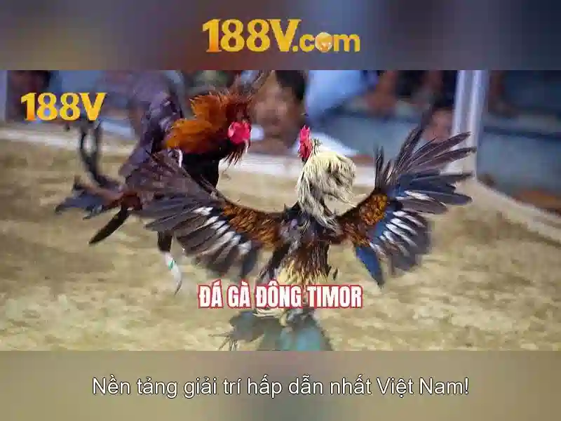 An toàn và cách sử dụng