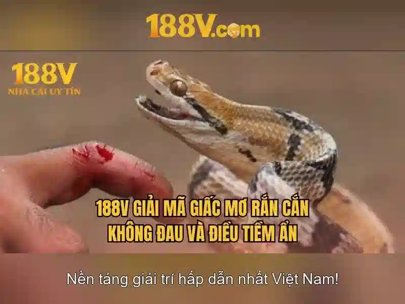188v và hành trình ký ức số