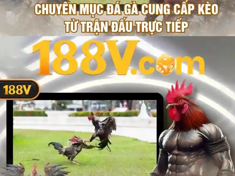 https://youtubevanced.id/images/text/188v/188v-text260312818.webp Nguồn gốc và ngữ cảnh