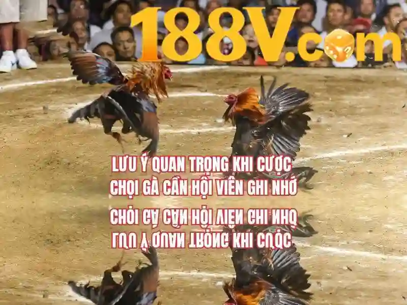 188v - một hành trình của số và ý nghĩa Giao diện nhà cái hoàn hảo